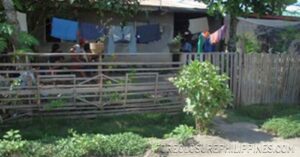 BFS Foreclosed House and Lot at VILLA CLEMENTA