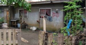 BFS Foreclosed House and Lot at VILLA CLEMENTA