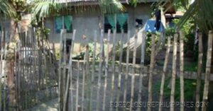 BFS Foreclosed House and Lot at VILLA CLEMENTA
