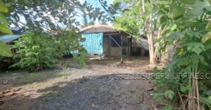 BFS Foreclosed House and Lot at ALICIA MIDTOWN SUBD.