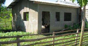 BFS Foreclosed House and Lot at YOUNGSVILLE SUBD.