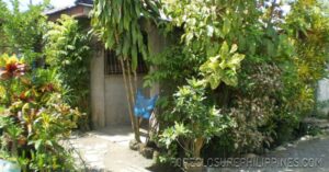 BFS Foreclosed House and Lot at EMENVIL GUERRA SUBD.