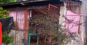 BFS Foreclosed House and Lot at NORTHERN PLAINS SUBD.