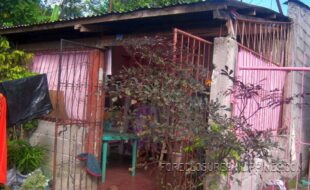 ¢¨®´ºÀÆÌÒØÞäêð