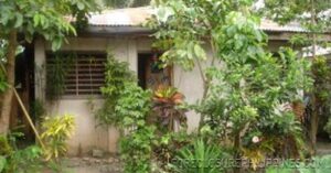 BFS Foreclosed House and Lot at PANABO COUNTRY HOMES