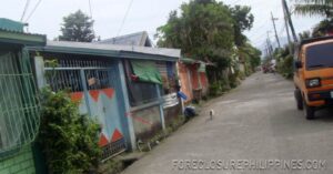 BFS Foreclosed House and Lot at SAN DIONISIO SUBD.