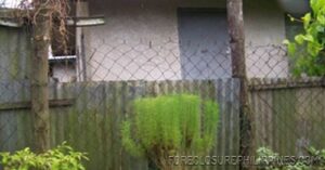 BFS Foreclosed House and Lot at SAN DIONISIO SUBD.