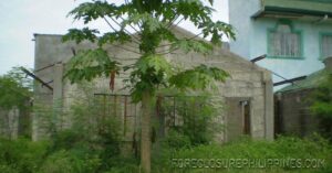 BFS Foreclosed House and Lot at ST. JAMES HEIGHTS SUBD.