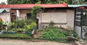 BFS Foreclosed House and Lot at DOÑA NENE HOMES II