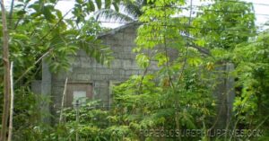 BFS Foreclosed House and Lot at ST. JAMES HEIGHTS SUBD.