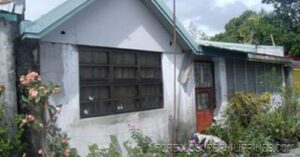 BFS Foreclosed House and Lot at SAN DIONISIO SUBD.
