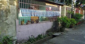 BFS Foreclosed House and Lot at SAN DIONISIO SUBD.