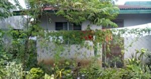 BFS Foreclosed House and Lot at SAN DIONISIO SUBD.