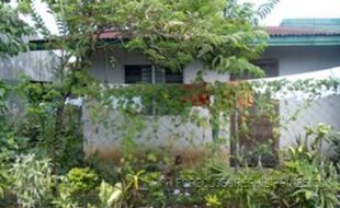 GEDSC DIGITAL CAMERA