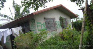 BFS Foreclosed House and Lot at SAN DIONISIO SUBD.