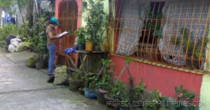 BFS Foreclosed House and Lot at SAN DIONISIO SUBD.