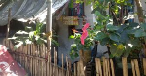 Pag-IBIG Foreclosed Row House - Lot 11 Blk. 27 HARMONY HILLS 2 SUBDIVISION LOMA DE GATO, MARILAO, BULACAN, 3019 - Negotiated Sale on May. 4, 2026 - May. 8, 2026 (Occupied)