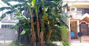 Pag-IBIG Foreclosed Single Attached - Lot 10 Phase 3 BAY BREEZE EXECUTIVE VILLAGE WAWA, CITY OF TAGUIG, NCR, FOURTH DISTRICT, 1630 - Negotiated Sale on May. 4, 2026 - May. 8, 2026 (Occupied)