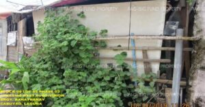 Pag-IBIG Foreclosed Row House - Lot 55 Blk. 09 Phase 3 LAKESIDE NEST SUBD BANAYBANAY, CITY OF CABUYAO, LAGUNA, 4025 - Negotiated Sale on May. 4, 2026 - May. 8, 2026 (Occupied)