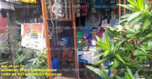 Pag-IBIG Foreclosed Row House - Lot 28 Blk. 46 HARMONY HILLS 2 SUBDIVISION LOMA DE GATO, MARILAO, BULACAN, 3019 - Negotiated Sale on May. 4, 2026 - May. 8, 2026 (Occupied)