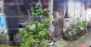 Pag-IBIG Foreclosed Row House - Lot 52 Blk. 50 HARMONY HILLS 2 SUBDIVISION LOMA DE GATO, MARILAO, BULACAN, 3019 - Negotiated Sale on May. 4, 2026 - May. 8, 2026 (Occupied)