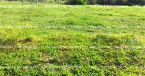 Pag-IBIG Bidding: 2nd Auction Listing 2026 1 Pag-IBIG Foreclosed Lot Only - Lot 22 Blk. 7 DONA ROSARIO HEIGHTS PAYOMPON, MAMBURAO (CAPITAL), OCCIDENTAL MINDORO, 5106 - 2nd Public Auction on Apr. 6, 2026 - Apr. 10, 2026