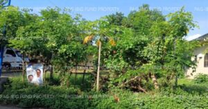 Pag-IBIG Negotiated Sale Listings 2026 23 Pag-IBIG Foreclosed Lot Only - Lot 42 Blk. 1 NHA-SAN JOSE LOW COST HOUSING PROJ. SAN JOSE, CITY OF SAN PABLO, LAGUNA, 4000 - Negotiated Sale on Apr. 13, 2026 - Apr. 17, 2026