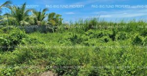 Pag-IBIG Foreclosed Lot Only - Lot 934-A-1-E OLANO SUBDIVISION MONGPONG, ROXAS CITY, CAPIZ, 5800 - Negotiated Sale on May. 4, 2026 - May. 8, 2026