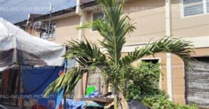 Pag-IBIG Foreclosed Town House - Lot 134 Blk. 132 DECA HOMES SOUTH BACOLOD CABUG, BACOLOD CITY, NEGROS OCCIDENTAL, 6100 - Negotiated Sale on May. 4, 2026 - May. 8, 2026