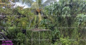 Pag-IBIG Foreclosed Lot Only - Lot 933-H OLANO SUBD. MONGPONG, ROXAS CITY, CAPIZ, 5800 - Negotiated Sale on May. 4, 2026 - May. 8, 2026