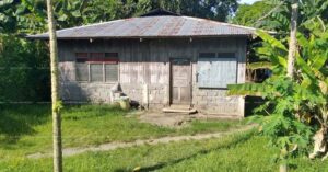 Pag-IBIG Foreclosed Single Detached - Lot 1756-B-1 NON-SUBDIVISION BUNGA, ABUYOG, LEYTE, 6510 - Negotiated Sale on May. 4, 2026 - May. 8, 2026 (Occupied)