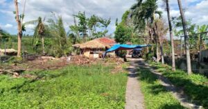 Pag-IBIG Foreclosed Single Attached - Lot 2379-A-1-B-3 DUNGGU-AN PERRELOS, CARCAR CITY, CEBU, 6019 - Negotiated Sale on May. 4, 2026 - May. 8, 2026 (Occupied)