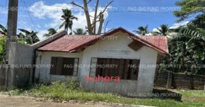 Pag-IBIG Foreclosed Single Attached - Lot 2 Blk. 4 RUDLIN HOMES SUBDIVISION ABANGO, BARUGO, LEYTE, 6519 - Negotiated Sale on May. 4, 2026 - May. 8, 2026