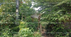 Pag-IBIG Foreclosed Single Detached - Lot 2 Blk. 3 VETTALEA HIGHLAND HOMES MANGA, PAGADIAN CITY, ZAMBOANGA DEL SUR, 7016 - Negotiated Sale on May. 4, 2026 - May. 8, 2026 (Occupied)