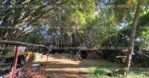 Pag-IBIG Foreclosed Lot Only - Lot 1 Blk. 3 SANZ SUBDIVISION POBLACION, TUBOD (CAPITAL), LANAO DEL NORTE, 9209 - Negotiated Sale on May. 4, 2026 - May. 8, 2026