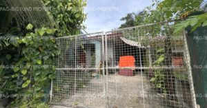 Pag-IBIG Foreclosed Single Attached - Lot 4 Blk. 6 TROPICAL HEIGHTS SUBD. BAYUGAN 2, SAN FRANCISCO, AGUSAN DEL SUR, 8501 - 2nd Public Auction on May. 4, 2026 - May. 8, 2026 (Occupied)