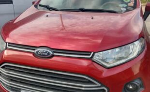 front 200030904639 631515220 914190457657453 7987317240469909346 n