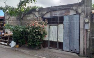 fil1520200218098