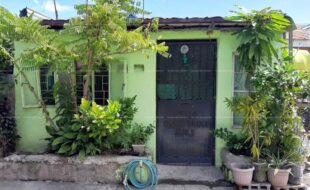 fil1520200305385