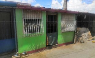 fil1520200720074