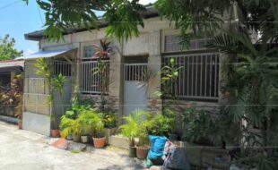 fil1520200720086
