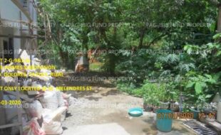 fil1520200721084