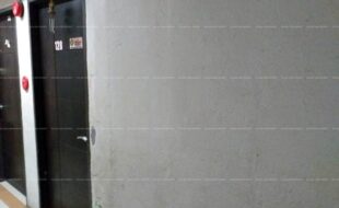 fil1520200727255