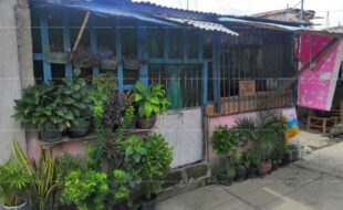 fil1520200804073