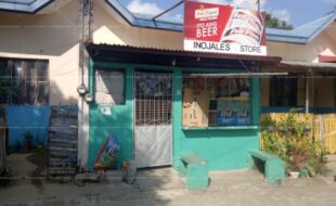 fil1520210311848