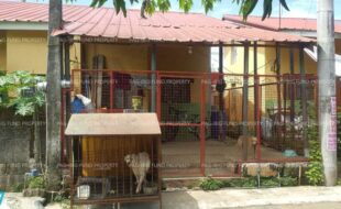 fil1520210713318