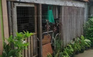 fil1520211209028