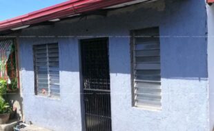 fil1520211216304