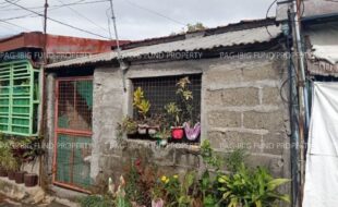 fil1520220129312