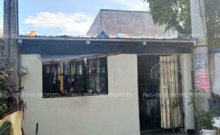 fil1520220210471